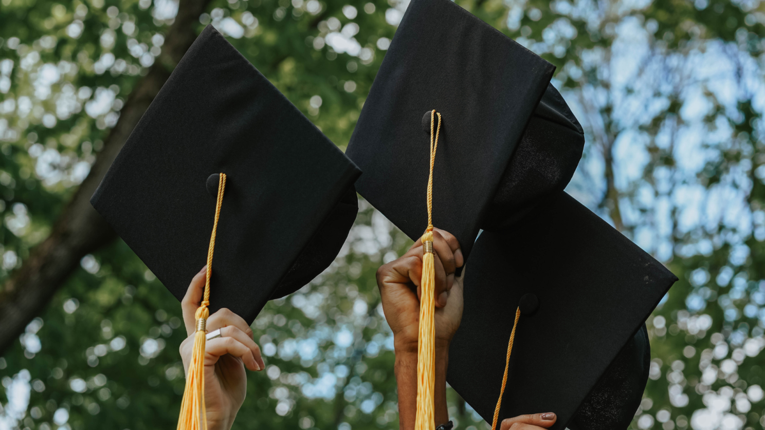 Apprenticeship graduation image throwing caps 